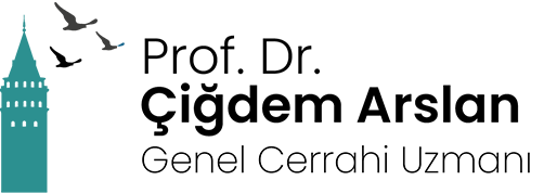 cigdem-arslan-logo