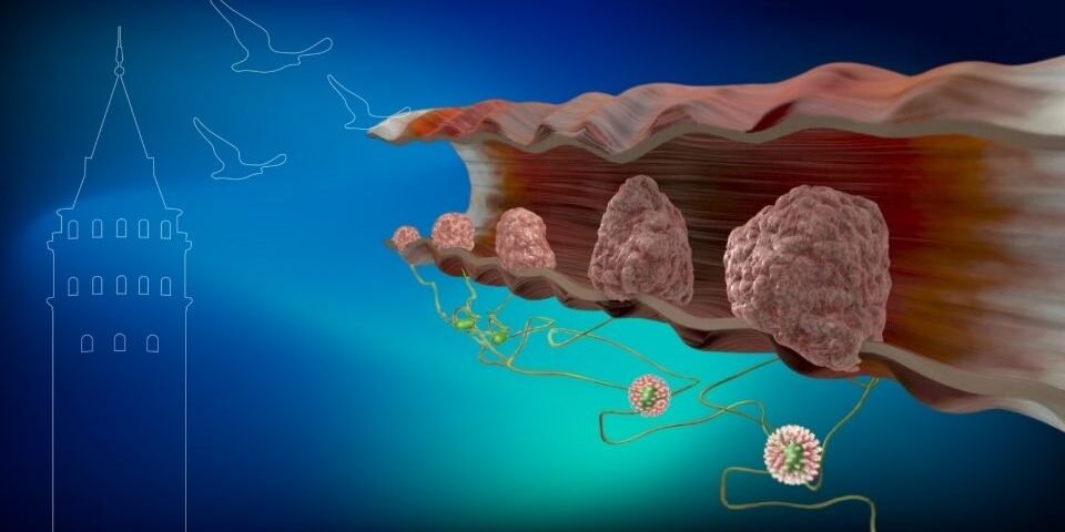 Anal HPV Taraması İstanbul