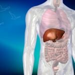 Safra Kesesi Ameliyatı İstanbul