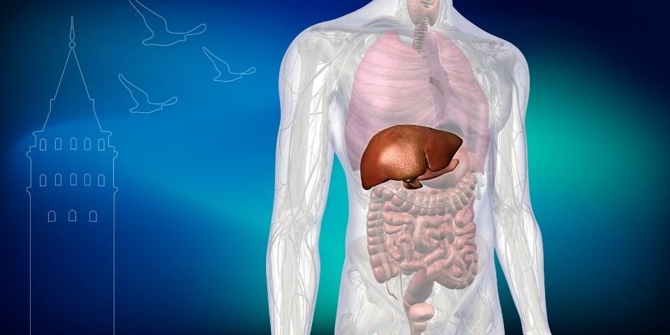 Safra Kesesi Ameliyatı İstanbul