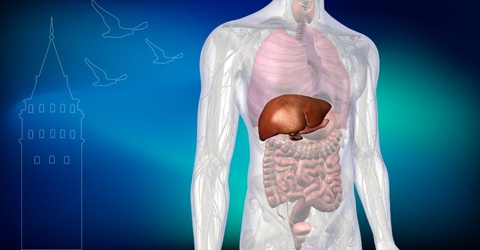 Safra Kesesi Ameliyatı İstanbul